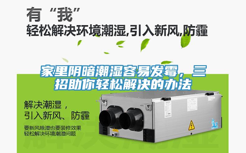 家里陰暗潮濕容易發霉，三招助你輕松解決的辦法
