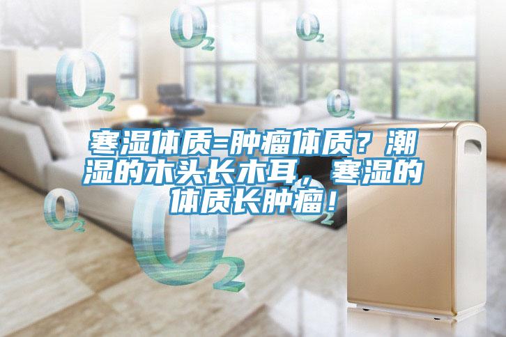寒濕體質=腫瘤體質？潮濕的木頭長木耳，寒濕的體質長腫瘤！