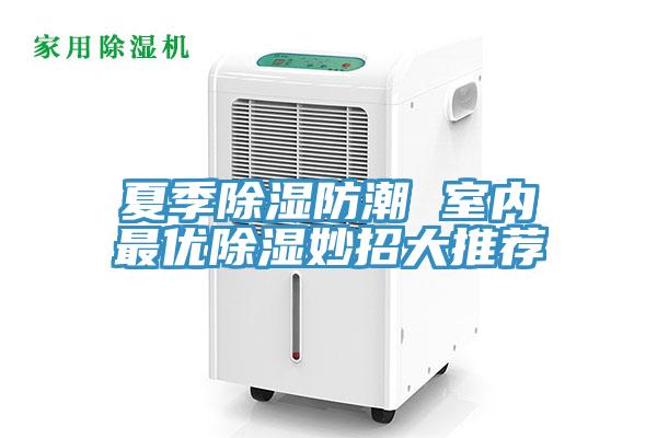 夏季除濕防潮 室內最優除濕妙招大推薦