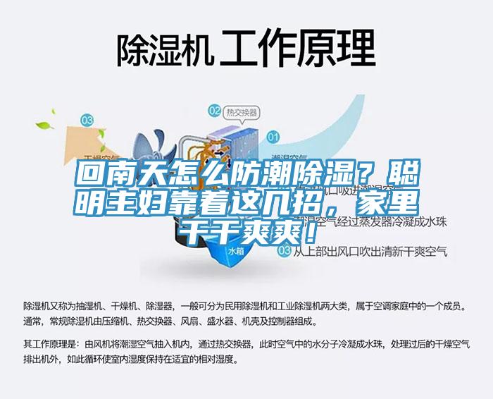 回南天怎么防潮除濕？聰明主婦靠著這幾招，家里干干爽爽！