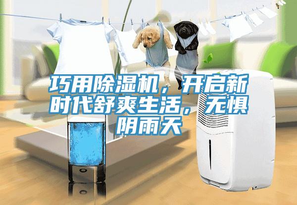 巧用除濕機，開啟新時代舒爽生活，無懼陰雨天