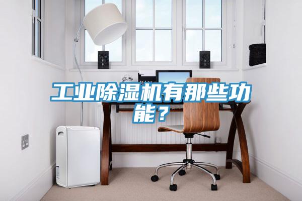 工業除濕機有那些功能？