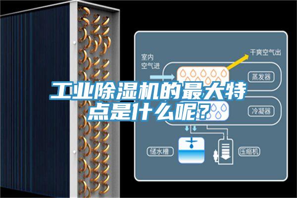 工業除濕機的最大特點是什么呢？