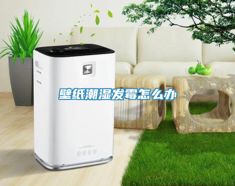 壁紙潮濕發霉怎么辦