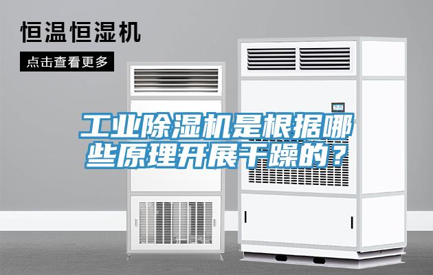 工業除濕機是根據哪些原理開展干躁的？