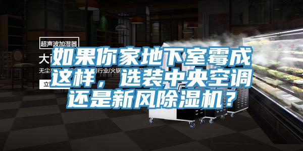 如果你家地下室霉成這樣，選裝中央空調還是新風除濕機？