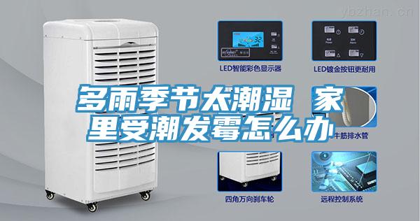 多雨季節太潮濕 家里受潮發霉怎么辦
