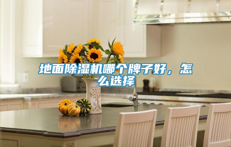 地面除濕機哪個牌子好，怎么選擇