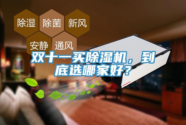 雙十一買除濕機，到底選哪家好？