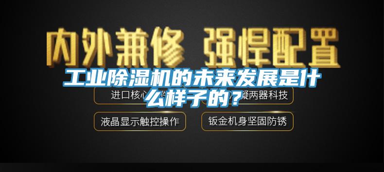 工業除濕機的未來發展是什么樣子的？