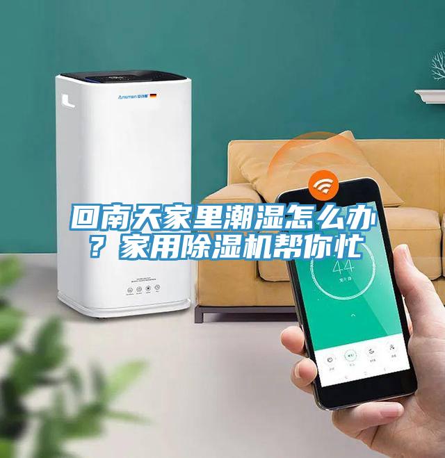 回南天家里潮濕怎么辦？家用除濕機幫你忙