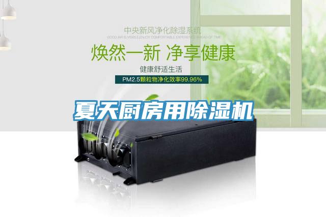 夏天廚房用除濕機