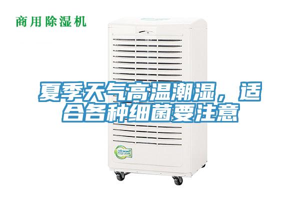 夏季天氣高溫潮濕，適合各種細菌要注意