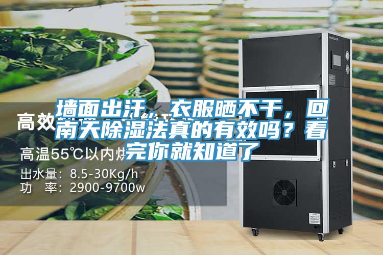 墻面出汗，衣服曬不干，回南天除濕法真的有效嗎？看完你就知道了