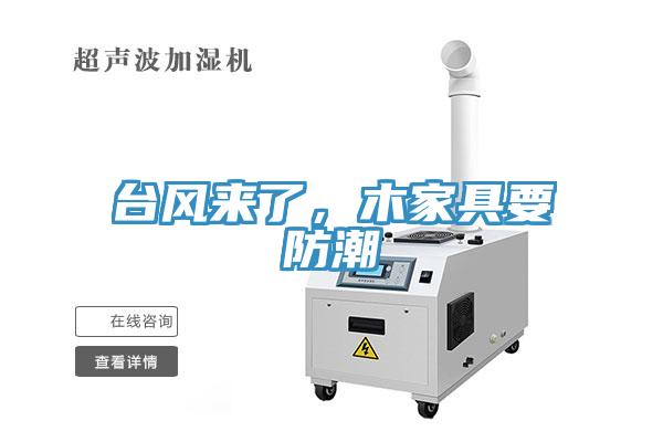臺風來了，木家具要防潮