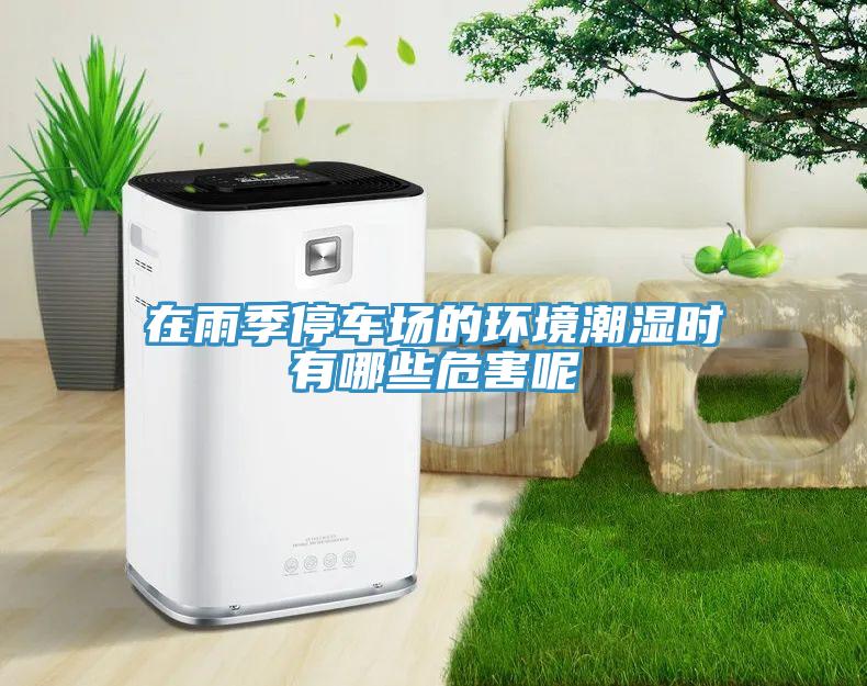 在雨季停車場的環境潮濕時有哪些危害呢