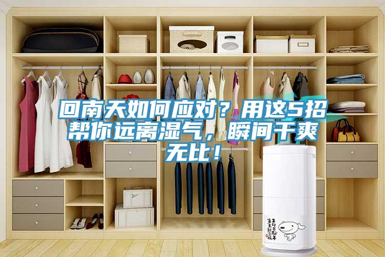 回南天如何應對？用這5招幫你遠離濕氣，瞬間干爽無比！