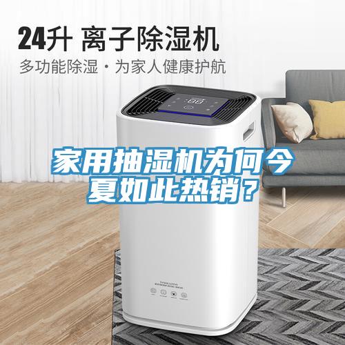 家用抽濕機為何今夏如此熱銷？