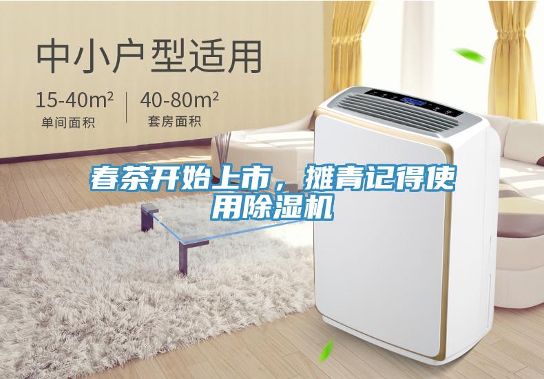 春茶開始上市，攤青記得使用除濕機
