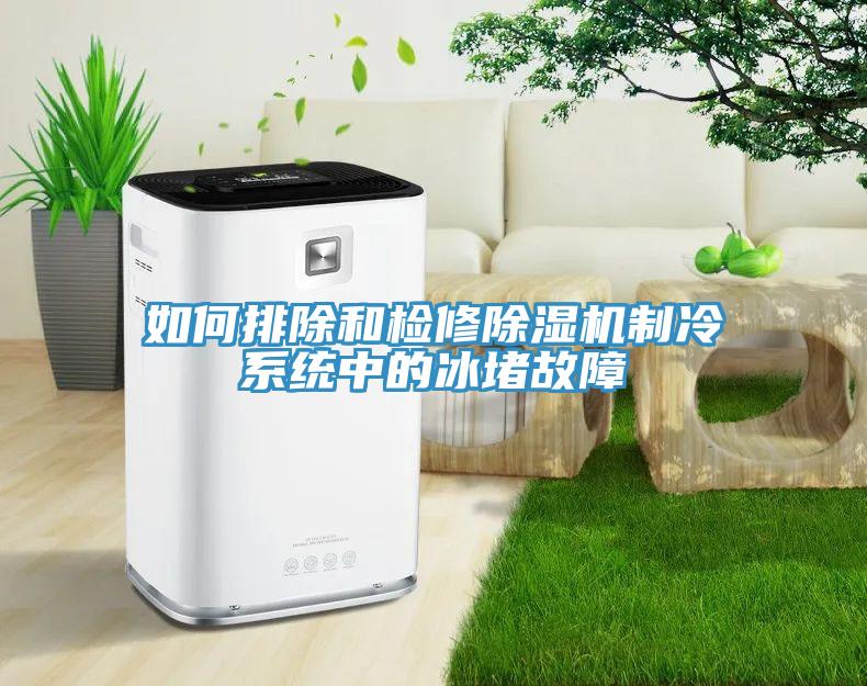 如何排除和檢修除濕機制冷系統中的冰堵故障