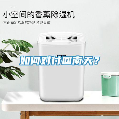 如何對付回南天？