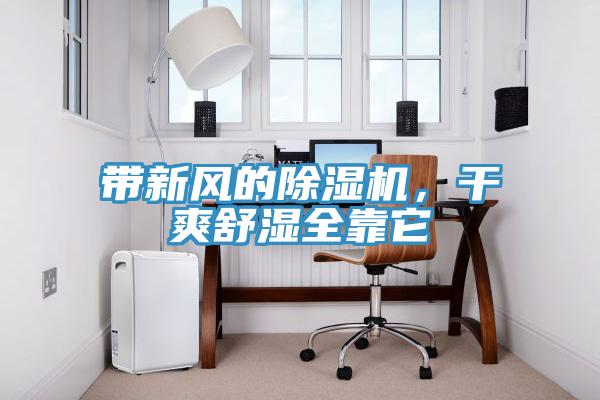 帶新風的除濕機，干爽舒濕全靠它