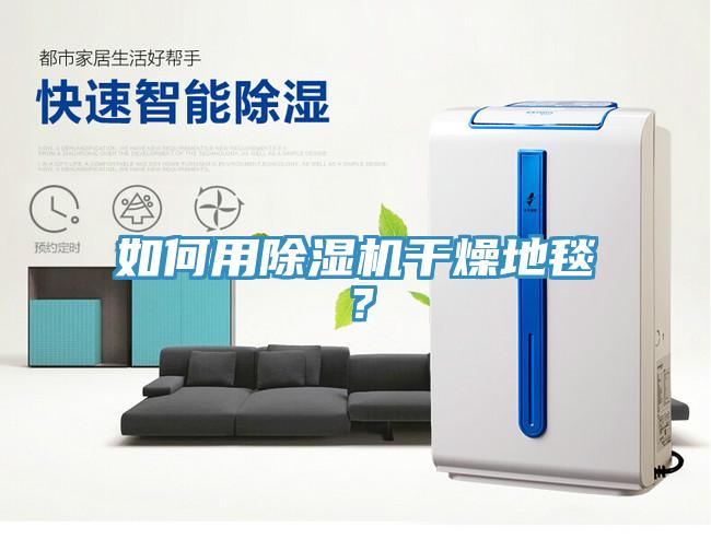 如何用除濕機干燥地毯？