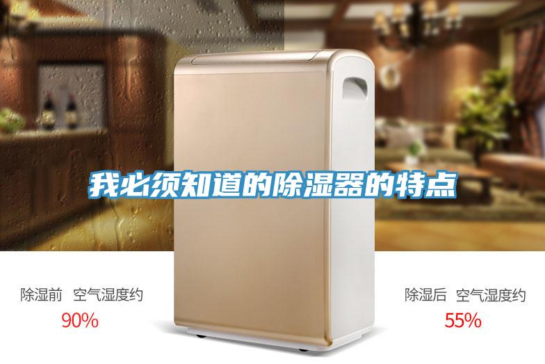 我必須知道的除濕器的特點