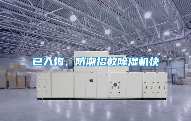 已入梅，防潮招數除濕機快