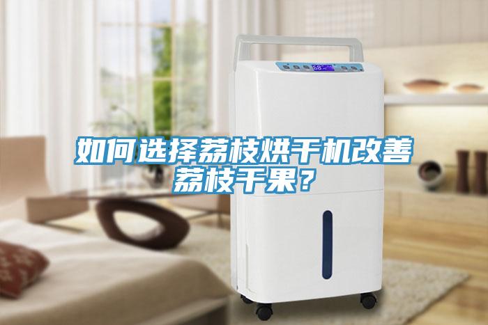 如何選擇荔枝烘干機改善荔枝干果？