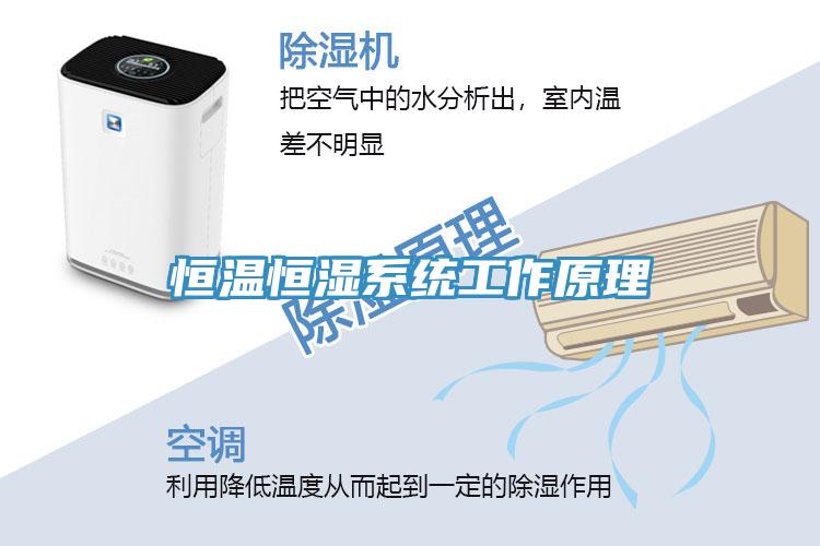 恒溫恒濕系統工作原理