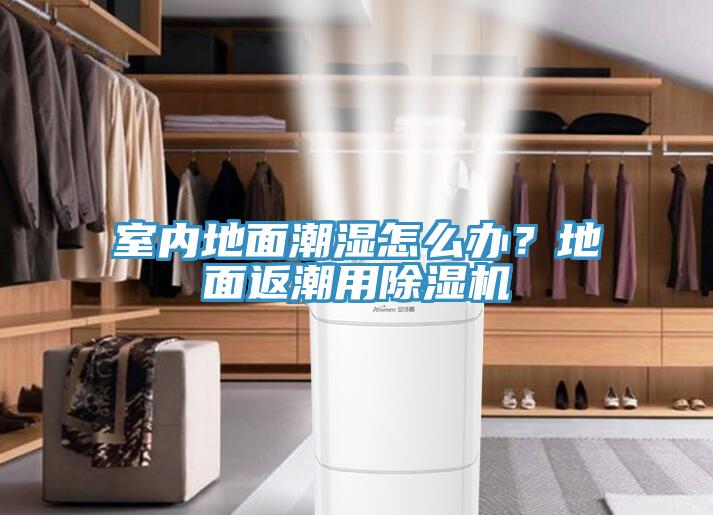室內地面潮濕怎么辦？地面返潮用除濕機