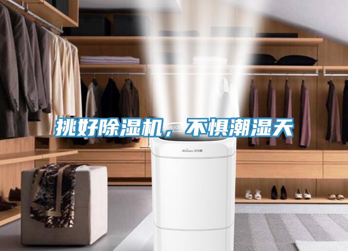挑好除濕機，不懼潮濕天