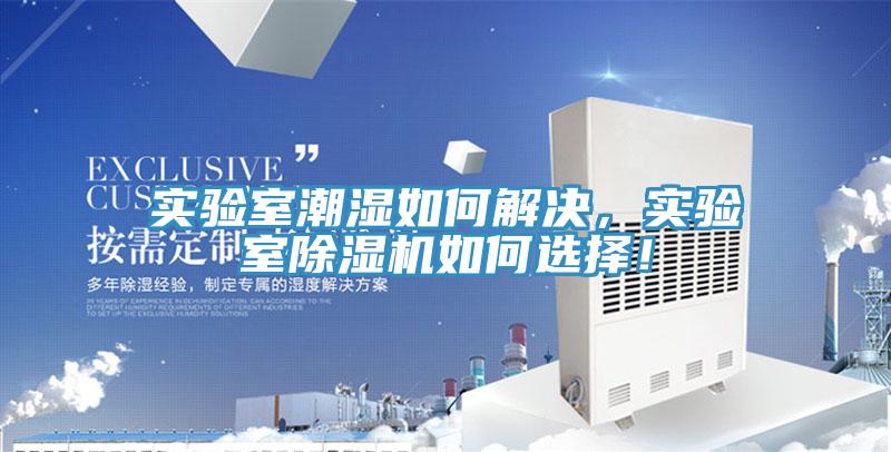 實驗室潮濕如何解決，實驗室除濕機如何選擇！