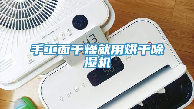 手工面干燥就用烘干除濕機
