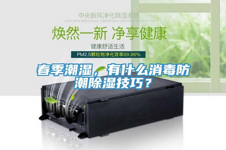 春季潮濕，有什么消毒防潮除濕技巧？