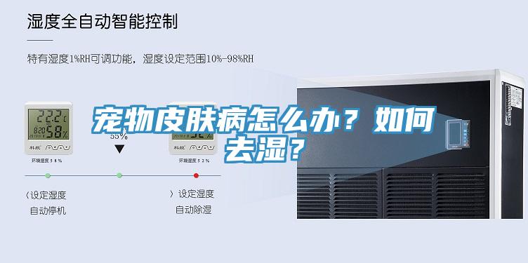 寵物皮膚病怎么辦？如何去濕？