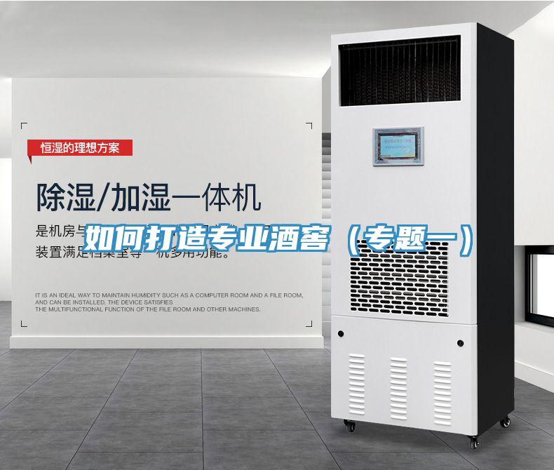 如何打造專業酒窖（專題一）