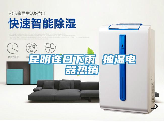昆明連日下雨 抽濕電器熱銷