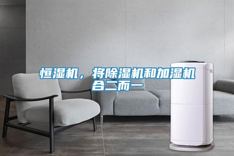恒濕機，將除濕機和加濕機合二而一