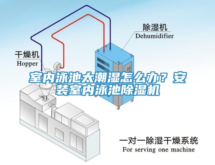 室內泳池太潮濕怎么辦？安裝室內泳池除濕機