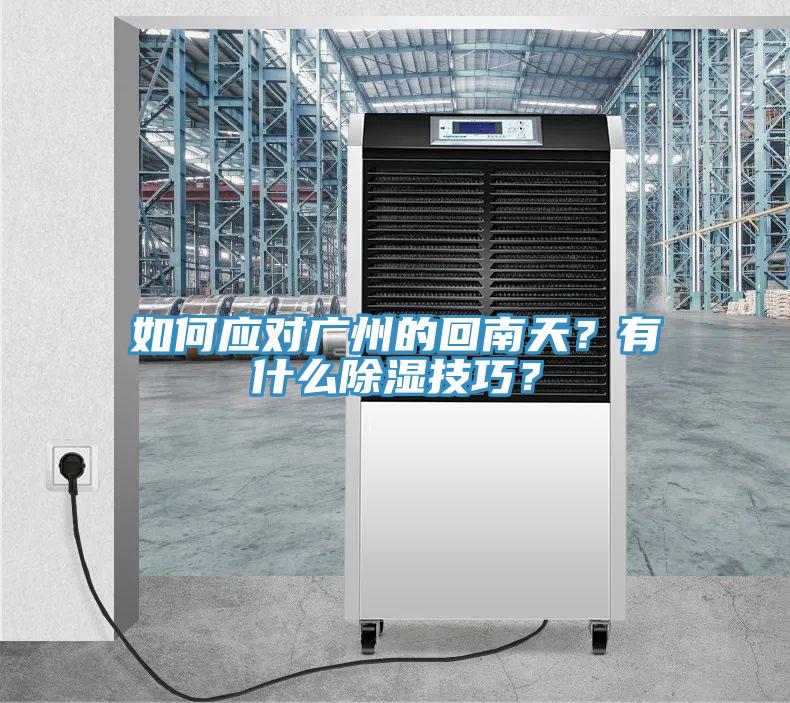如何應對廣州的回南天？有什么除濕技巧？