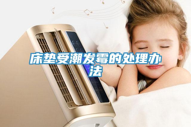 床墊受潮發霉的處理辦法