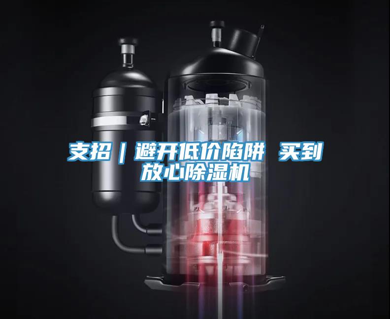 支招｜避開低價陷阱 買到放心除濕機