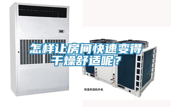 怎樣讓房間快速變得干燥舒適呢？