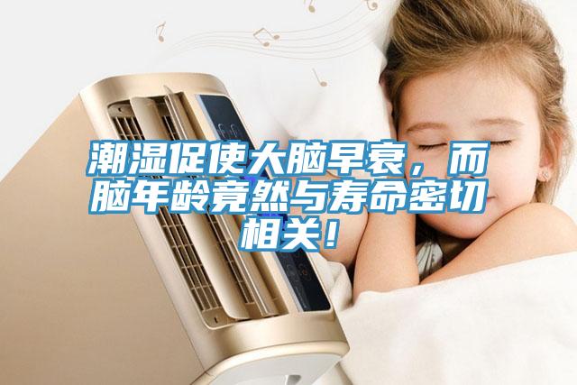 潮濕促使大腦早衰，而腦年齡竟然與壽命密切相關！