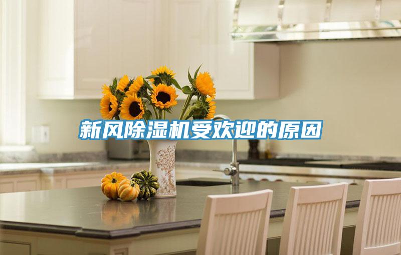 新風除濕機受歡迎的原因