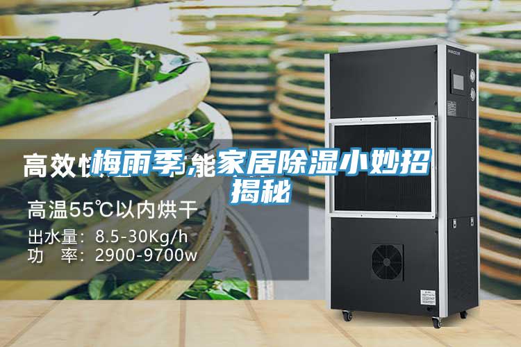 梅雨季，家居除濕小妙招揭秘