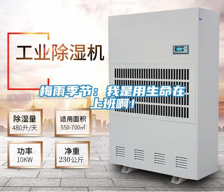 梅雨季節：我是用生命在上班??！