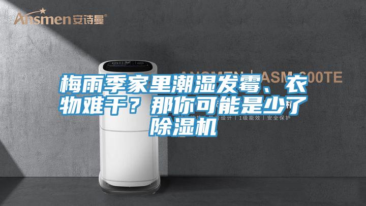 梅雨季家里潮濕發霉、衣物難干？那你可能是少了除濕機